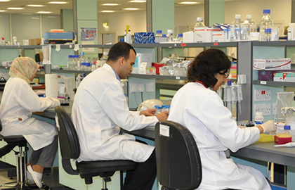 3 laboratins travaillent sur leurs paillasses.